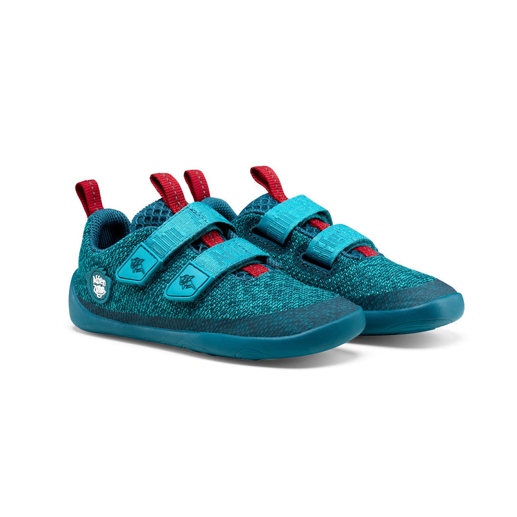AFFENZAHN. Sneaker Knit Happy Shark