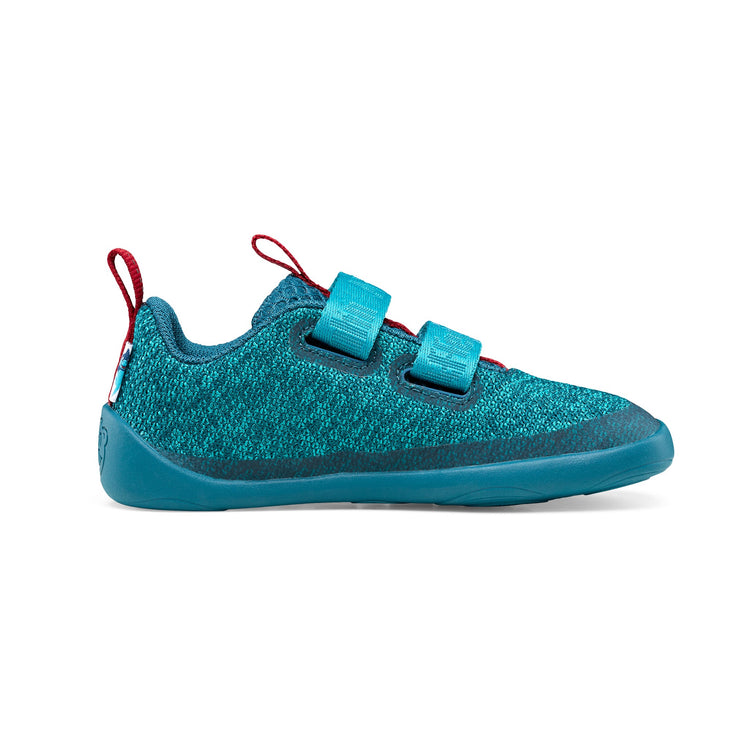 AFFENZAHN. Sneaker Knit Happy Shark