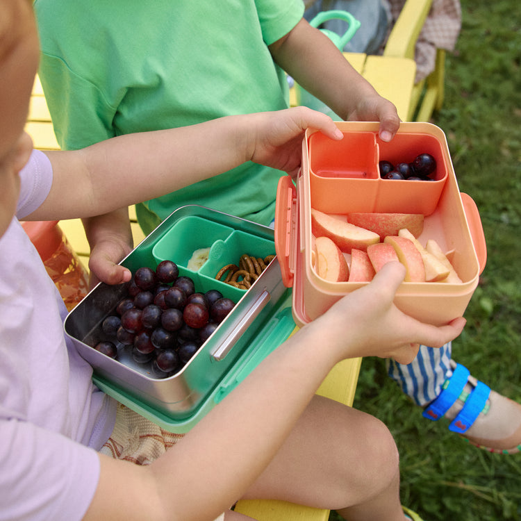 AFFENZAHN. Stainless steel lunchbox Mighty meadow