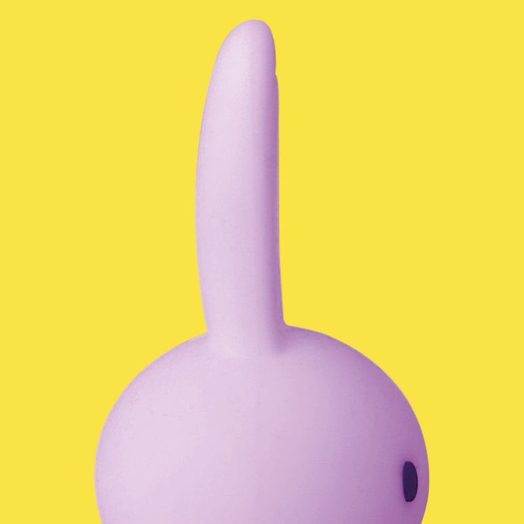 MR MARIA. Miffy Bundle of Light Colourful Surprise Blind Box