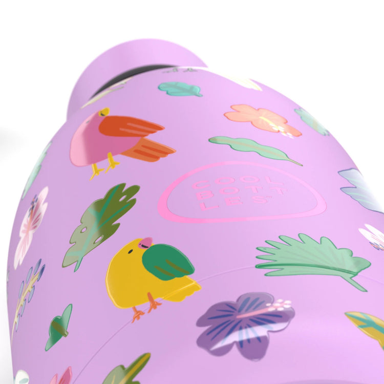 COOL BOTTLES. Kids water bottle Fly Free 500ml