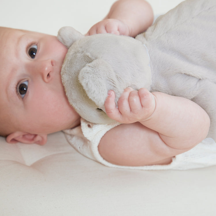 PETIT SONGE. Weighted plush toy Koala