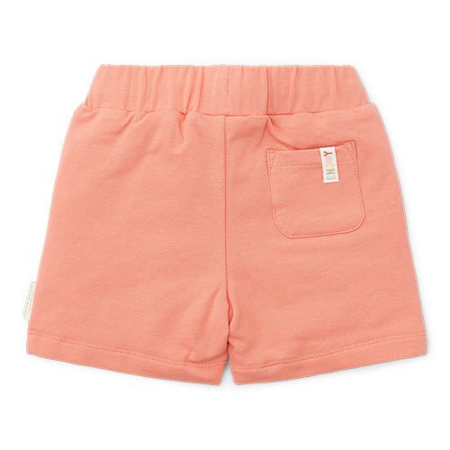 LITTLE DUTCH. Short Little Farmer Red
