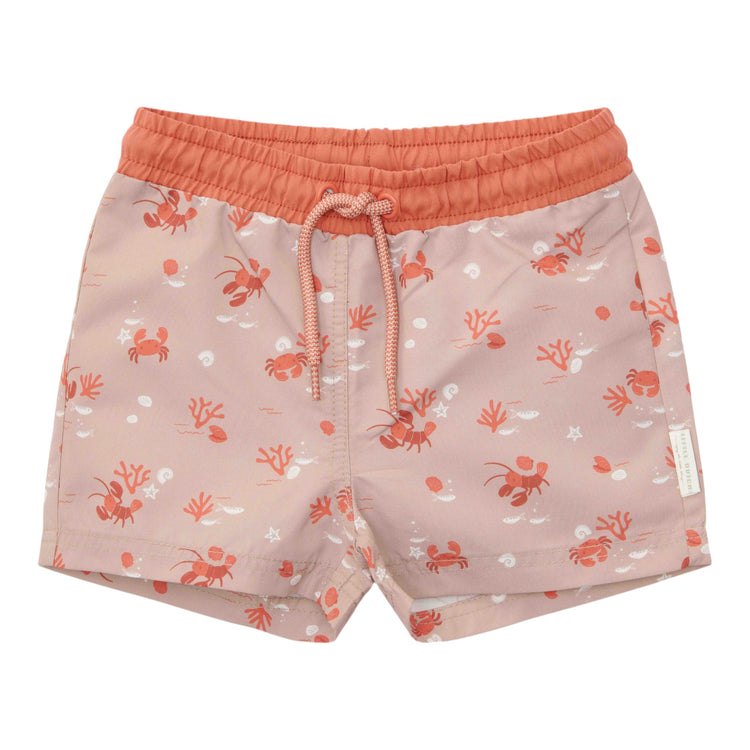 LITTLE DUTCH. Swimshort Lobster Bay