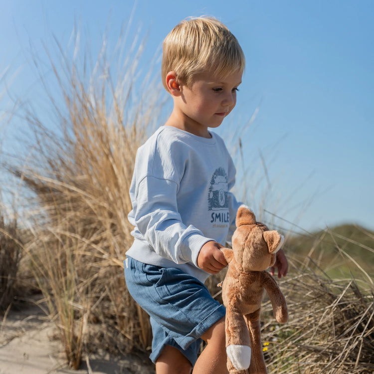 LITTLE DUTCH. Sweater Light Blue