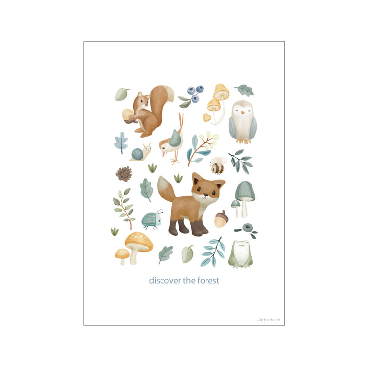 LITTLE DUTCH. Poster A3 Forest Wonders