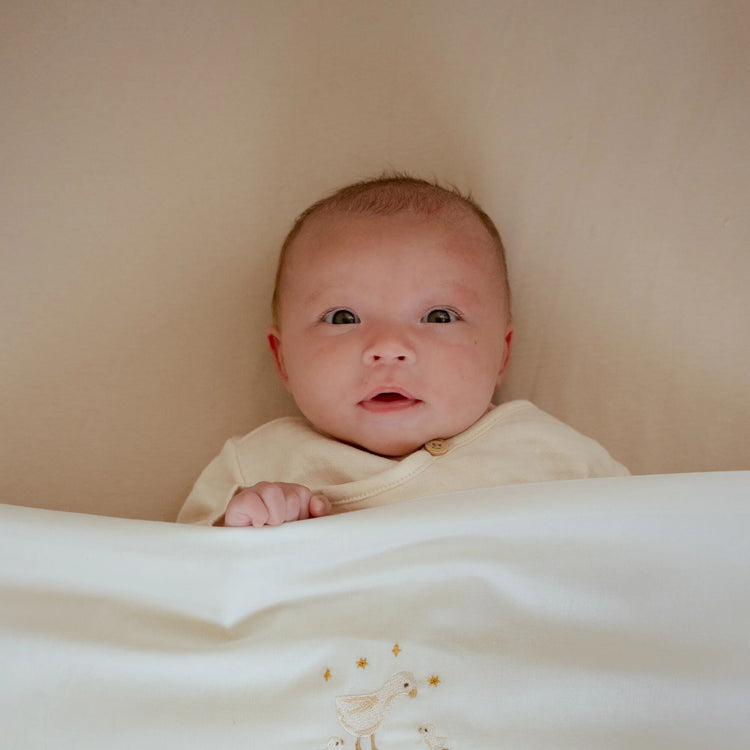 LITTLE DUTCH. Σεντόνι με λάστιχο Pure Soft Beige 60x120