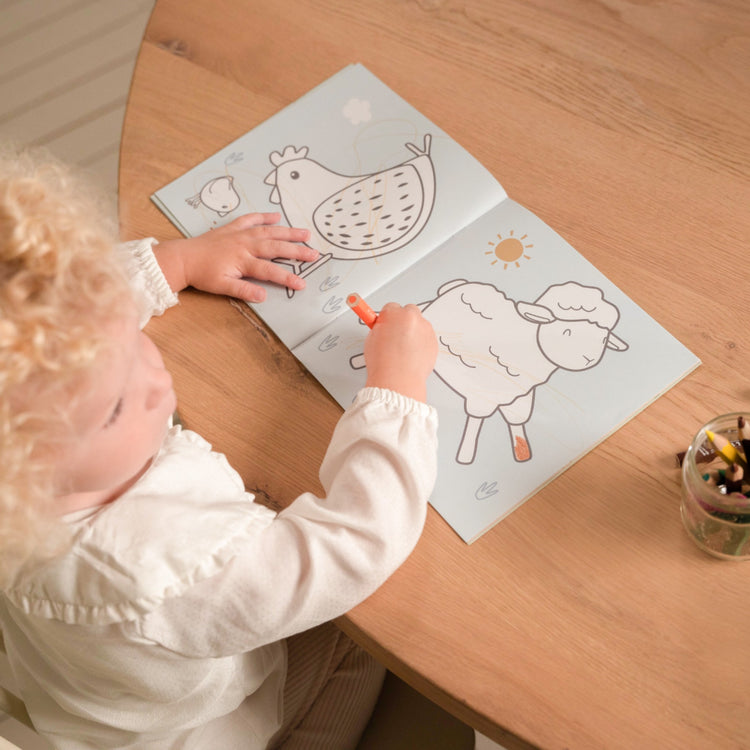 LITTLE DUTCH. Coloring Book Little Farm