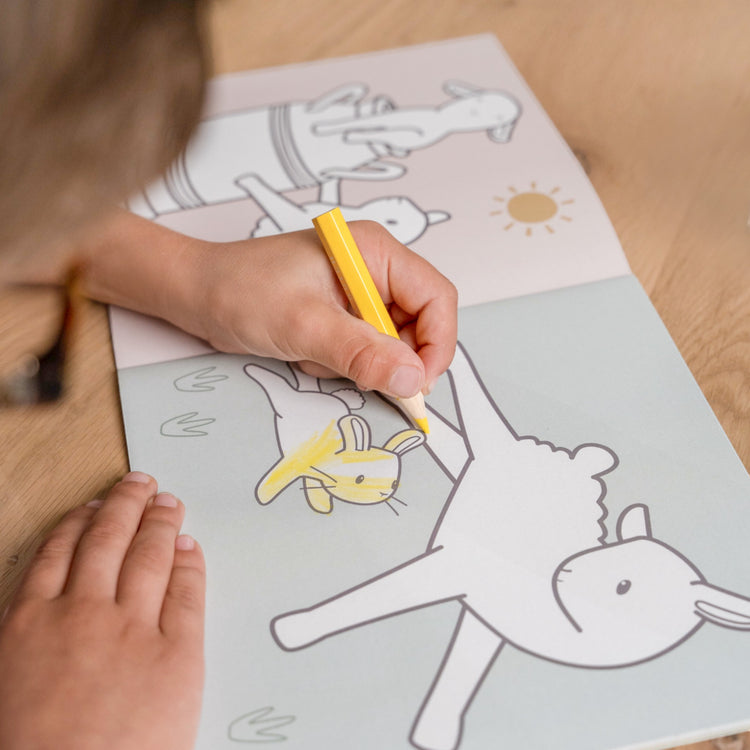 LITTLE DUTCH. Coloring Book Little Farm