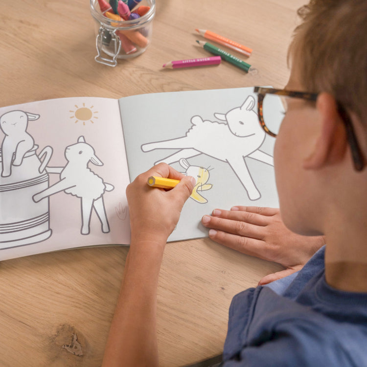 LITTLE DUTCH. Coloring Book Little Farm