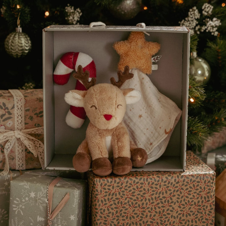 LITTLE DUTCH. Christmas giftset newborn GRS