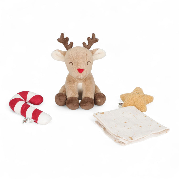 LITTLE DUTCH. Christmas giftset newborn GRS