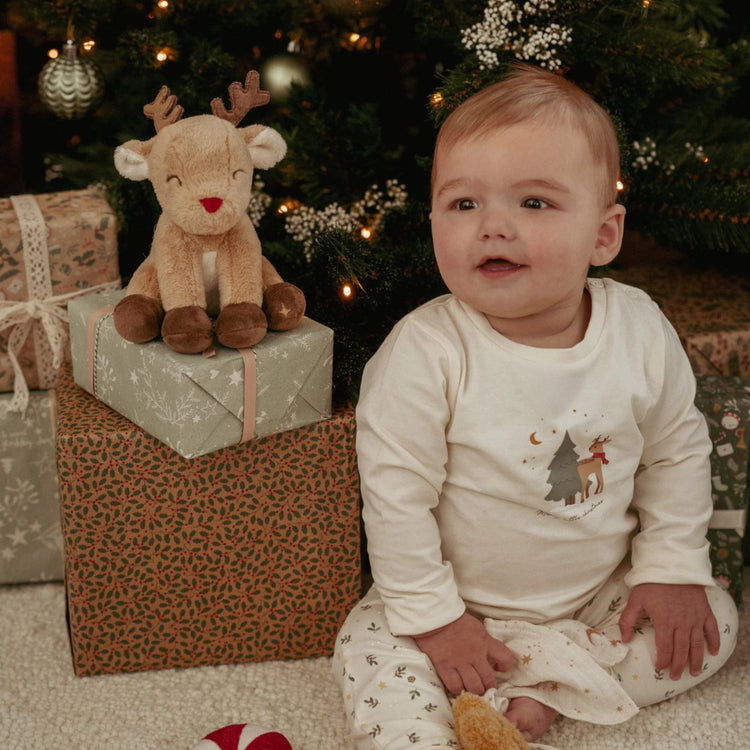 LITTLE DUTCH. Christmas giftset newborn GRS