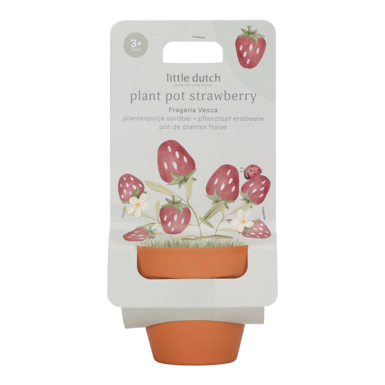 LITTLE DUTCH. Plant pot Strawberry