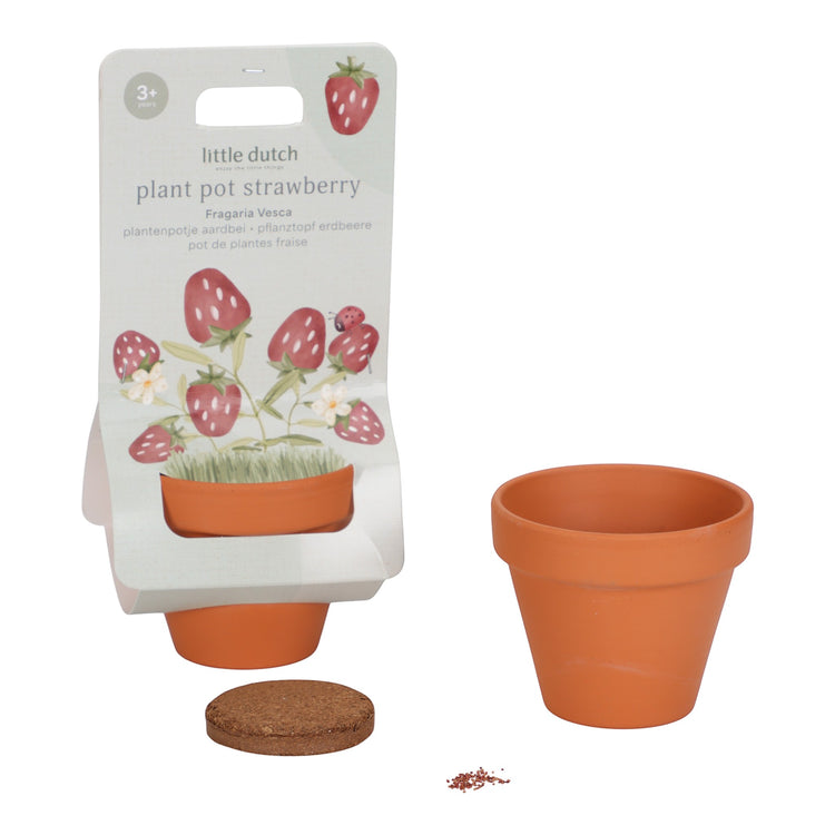 LITTLE DUTCH. Plant pot Strawberry