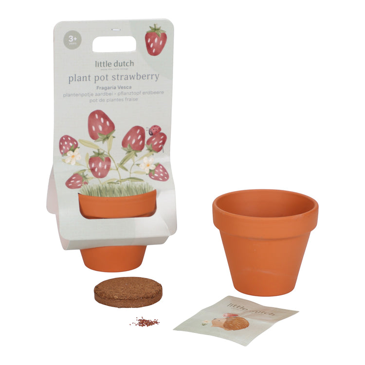 LITTLE DUTCH. Plant pot Strawberry