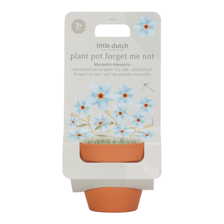 LITTLE DUTCH. Plant pot Forget Me Not