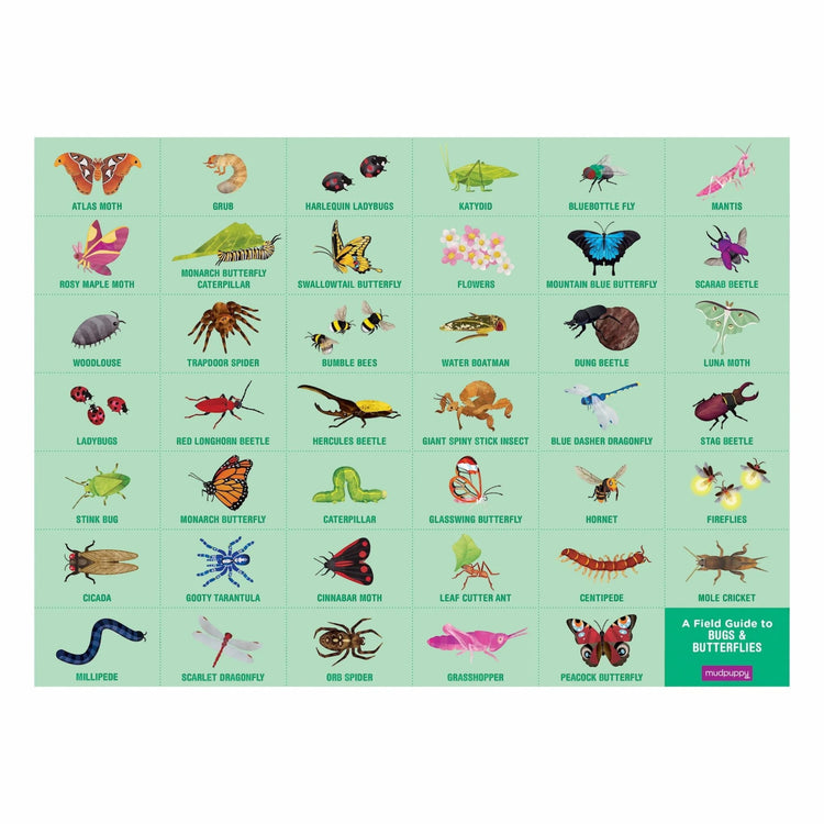 MUDPUPPY. Bugs & Butterflies 64 Piece Search & Find Puzzle