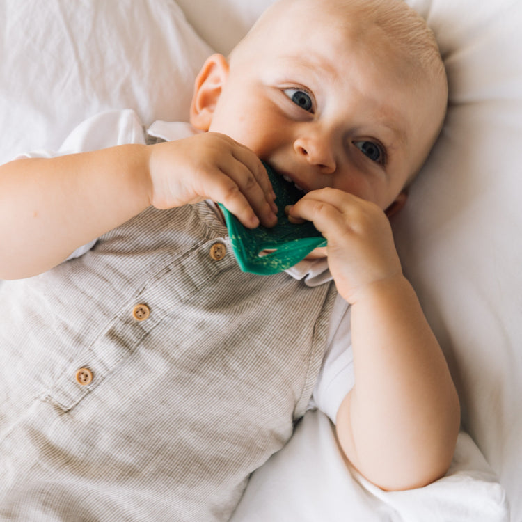 OLI&CAROL. Chlorophyll leaf baby teether