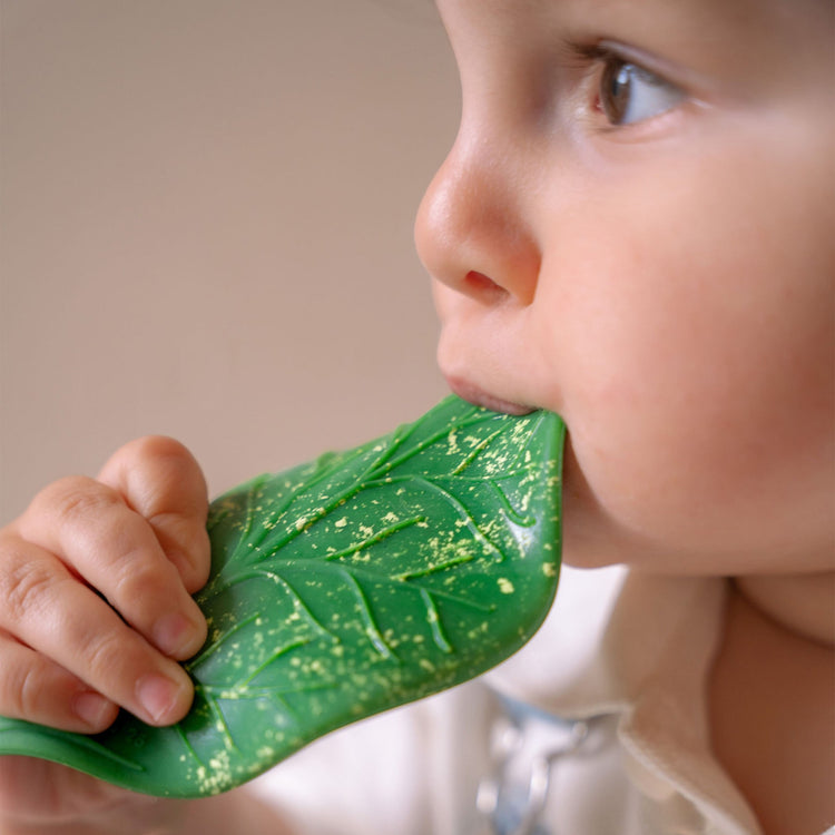 OLI&CAROL. Chlorophyll leaf baby teether