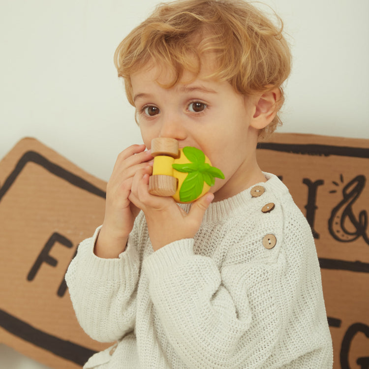 OLI&CAROL. Lou the Lemon Car