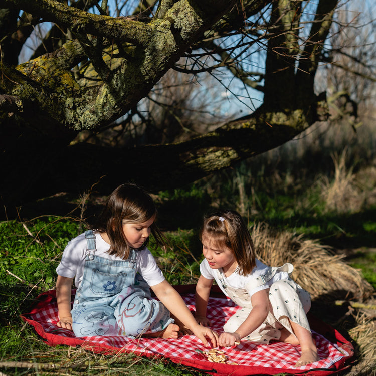 PLAY&GO. Χαλάκι παιχνιδιού - τσάντα 2 σε 1. Outdoor Pic Nic