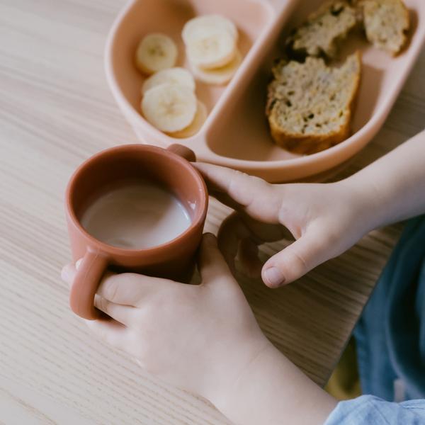 EKOBO. Bambino Silicone Cup with handles - 2 Pack Blush/ Terracotta