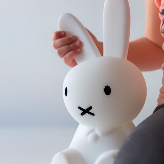 MR MARIA. Miffy First Light
